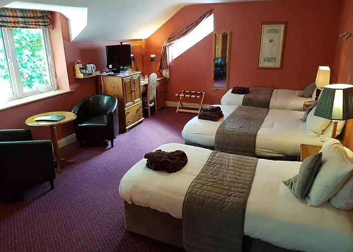 Bed & Breakfast Boffin